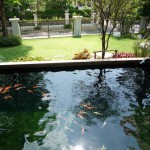 Koi2U by ModX - บริการรับวางระบบ
