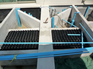 Koi2U by ModX - บริการรับวางระบบ