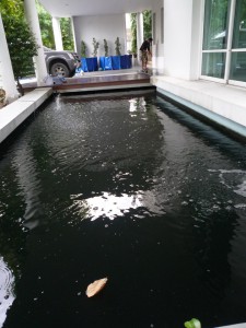 Koi2U by ModX - บริการรับแก้ไขปัญหาน้ำไม่ใส
