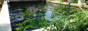 Koi2U by ModX - บริการรับแก้ไขปัญหาน้ำไม่ใส