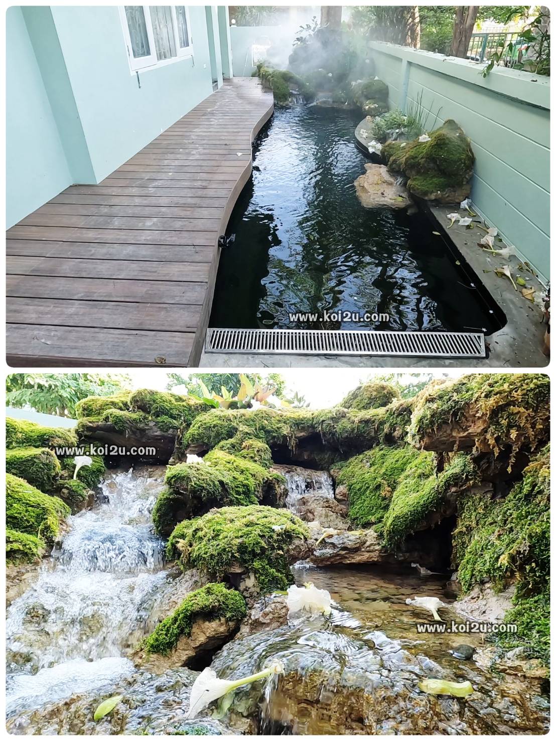 ส่งมอบงานบ่อปลาคาร์ฟ พร้อมจัดสวนธรรมชาติบ้านคุณเก่ง