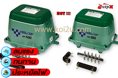 เครื่องเติมอากาศ HIBLOW
